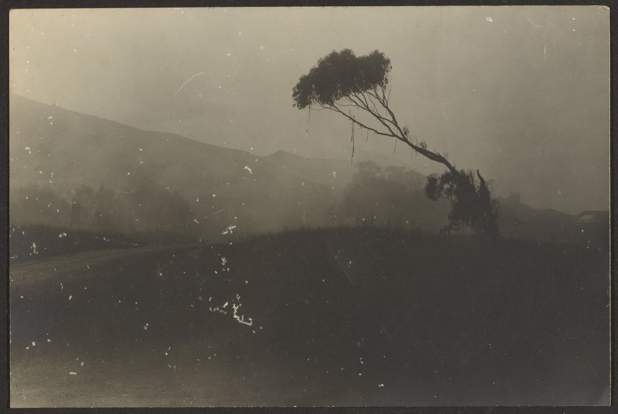 Laguna Beach von Louis Fleckenstein