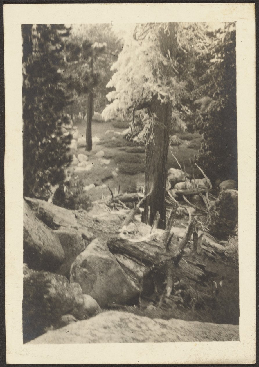 [Landschaft] von Louis Fleckenstein