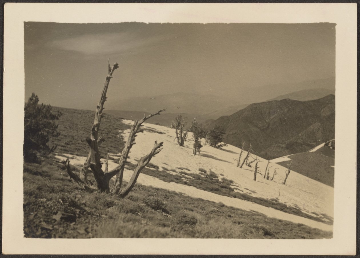 [Landschaft] von Louis Fleckenstein