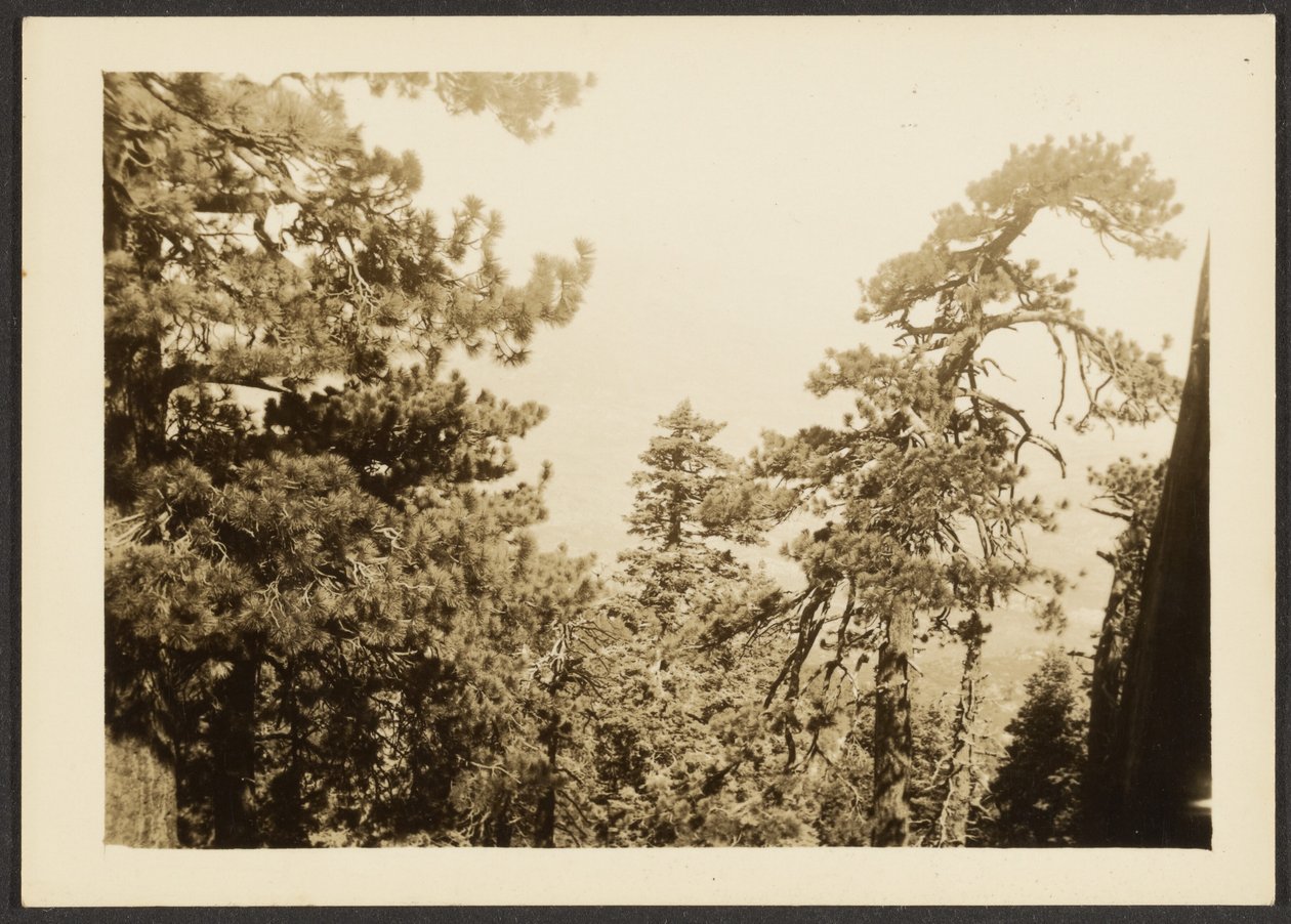 Santa Rosa Gipfel von Louis Fleckenstein