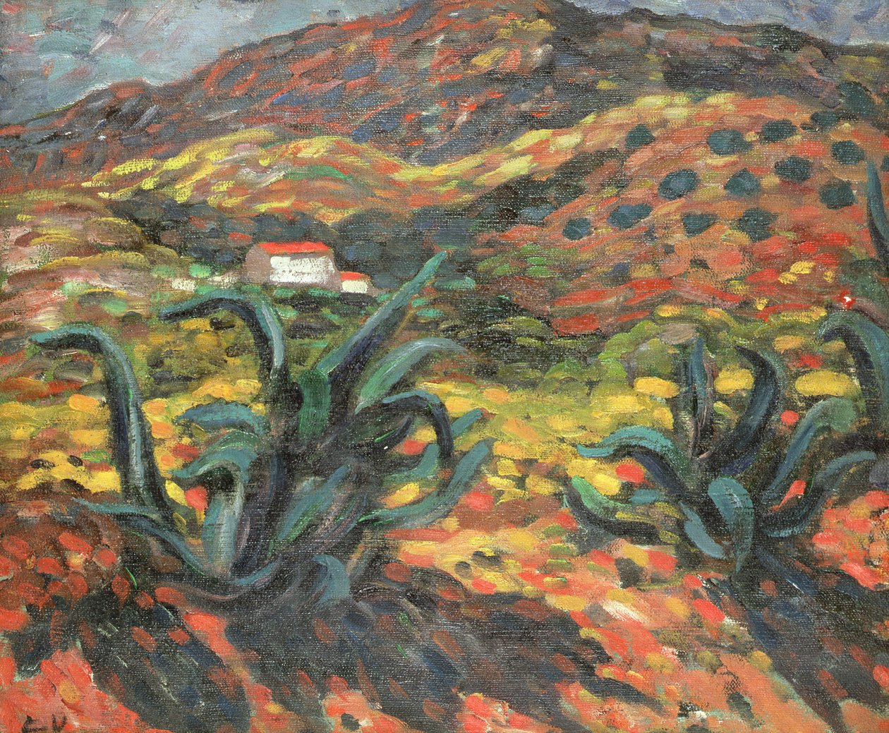 Die Agaven von Louis Valtat