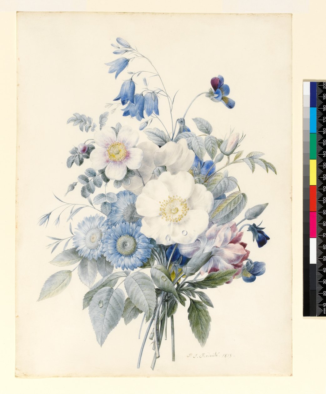 Ein Strauß Sommerblumen, 1820 von Louise DOrleans