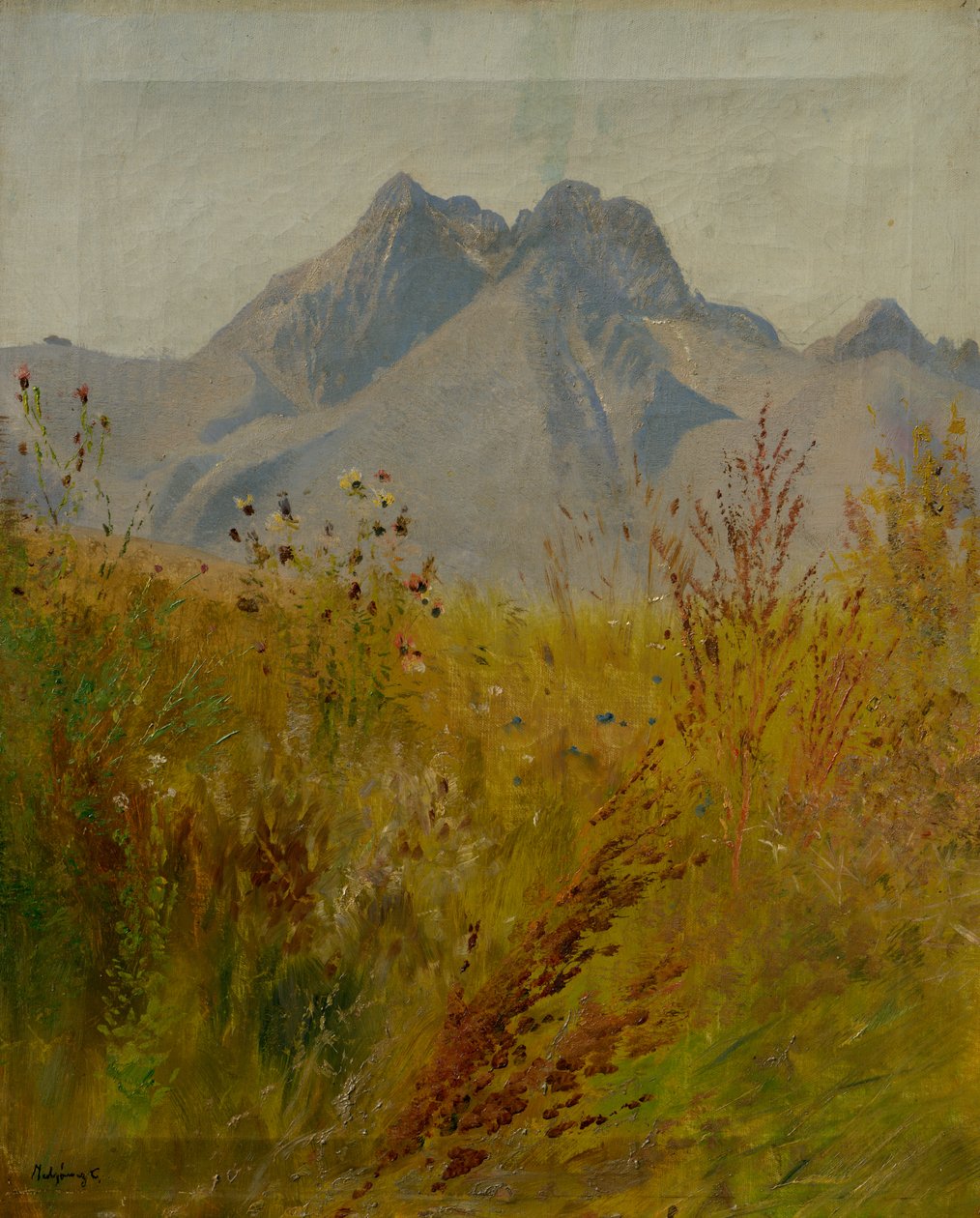 Lomnitzer Spitze von Laszlo Mednyanszky
