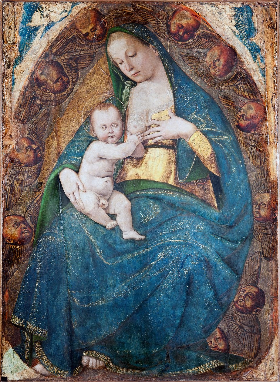 Stillende Madonna von Luca Signorelli