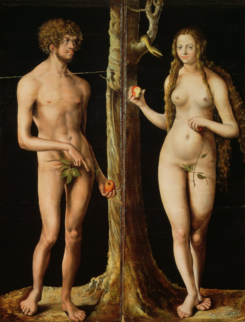 Adam und Eva von Lucas Cranach the Elder