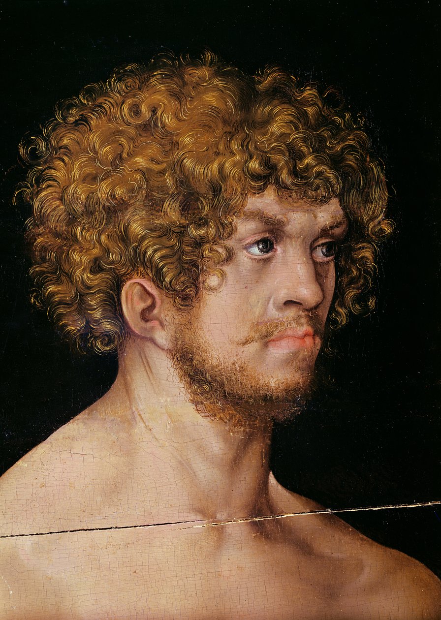 Adam und Eva, Detail von Adams Kopf (Detail) von Lucas Cranach the Elder