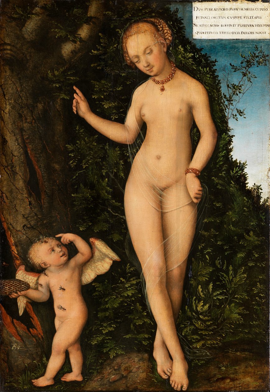 Venus und Amor, der Honigdieb von Lucas Cranach the Elder