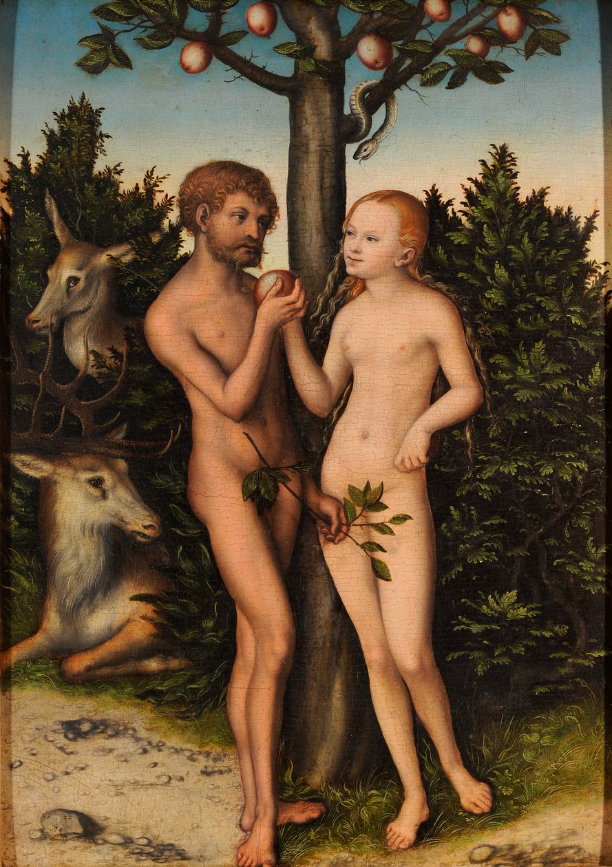 Adam und Eva von Lucas Cranach the Elder