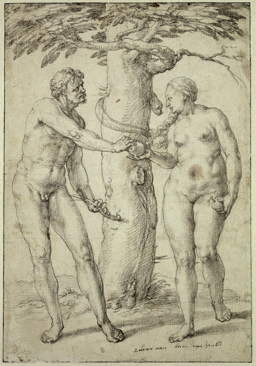 Der Fall von Lucas van Leyden