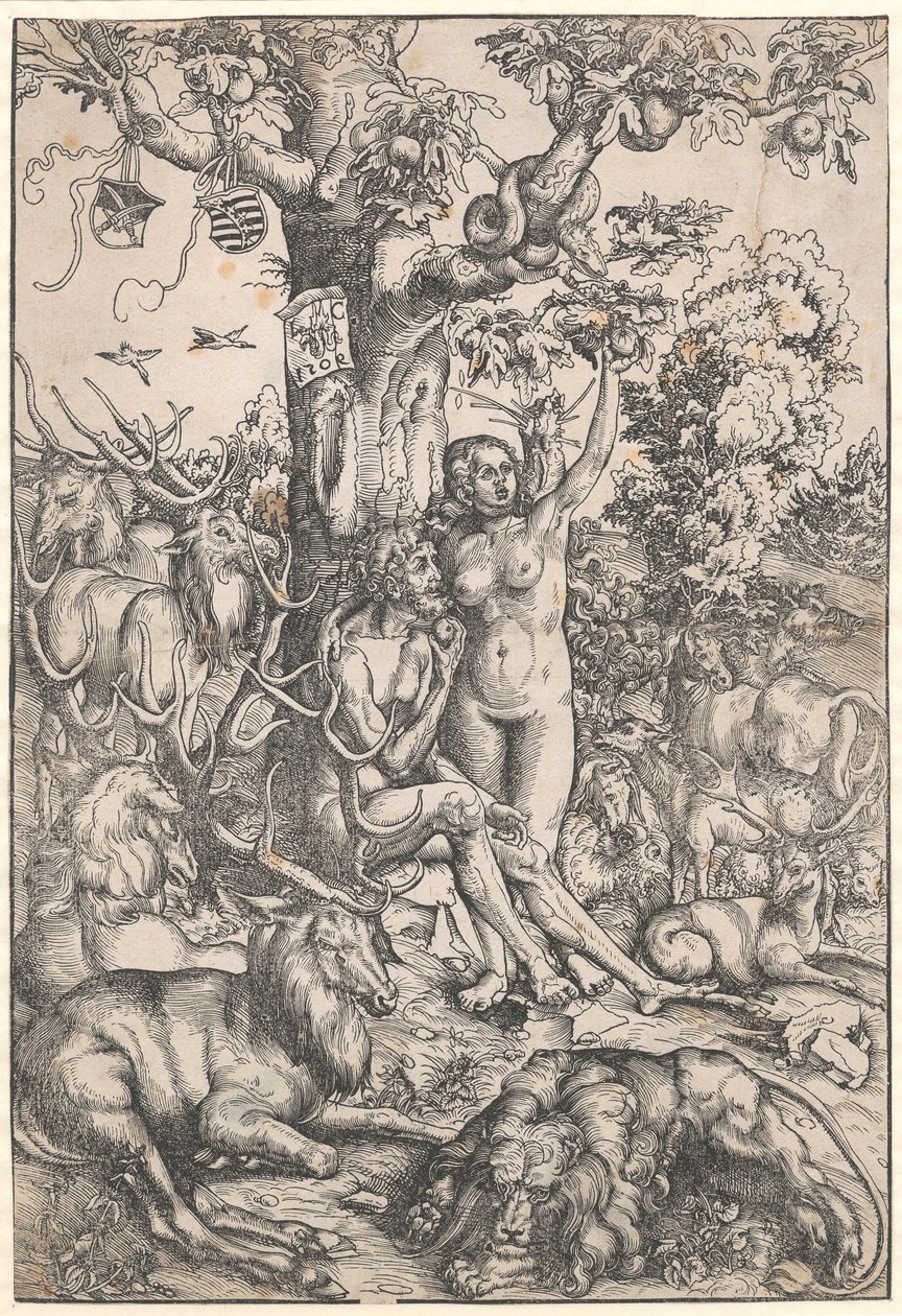 Der Sündenfall von Lucas Cranach d.Æ.
