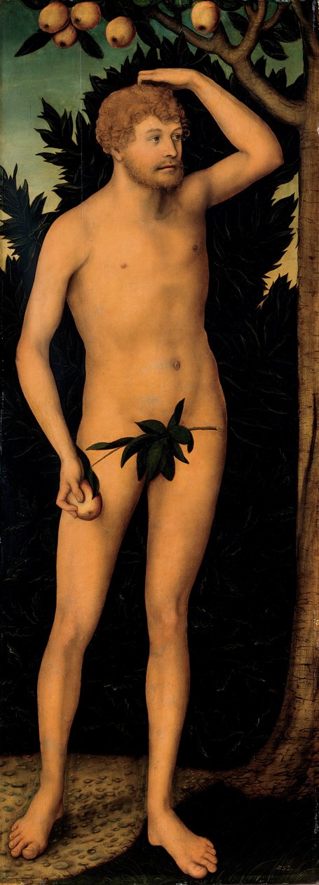 Adam, nach 1537 von Lucas Cranach the Elder