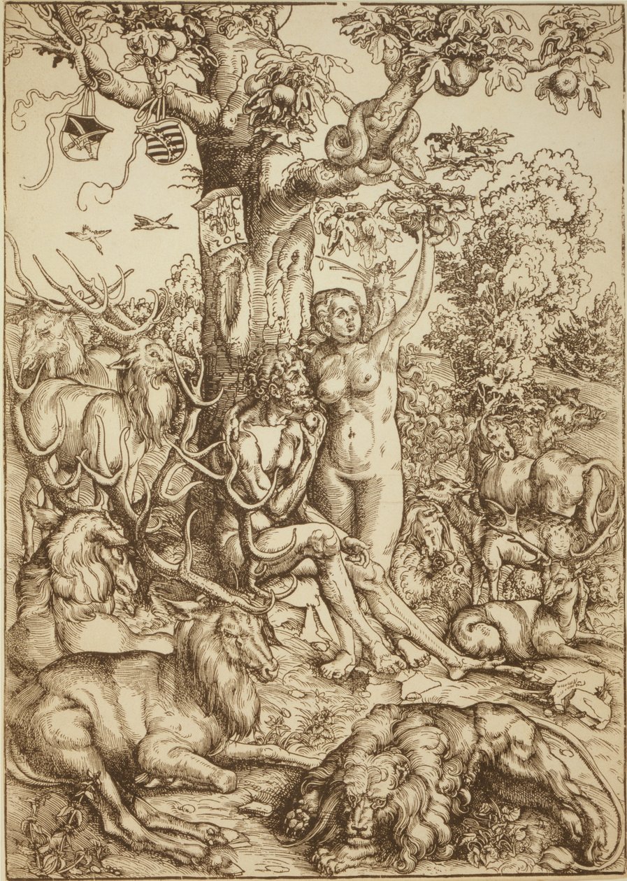 Adam und Eva im Paradies von Lucas Cranach the Elder