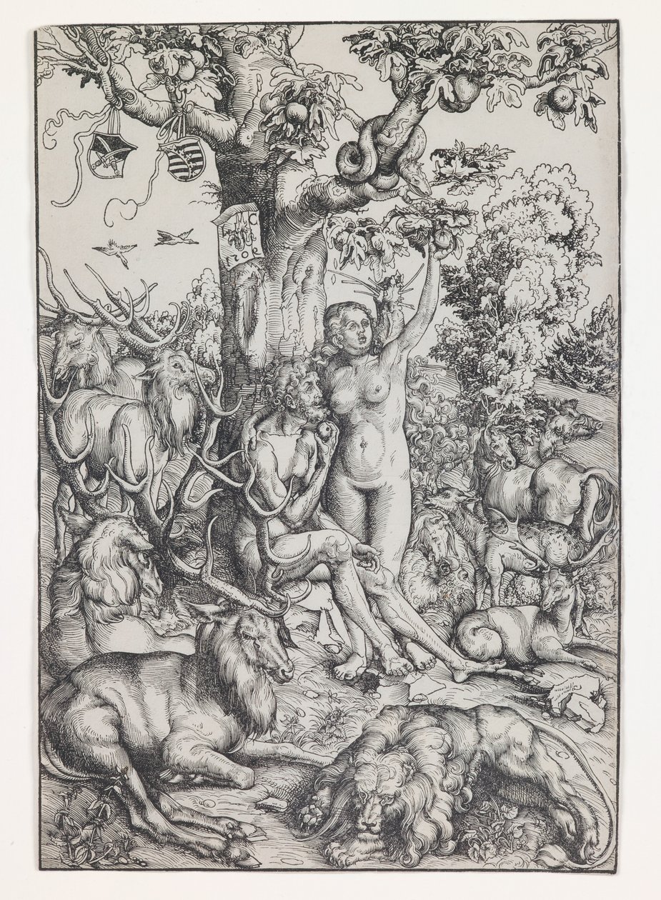 Adam und Eva im Paradies von Lucas the Elder Cranach