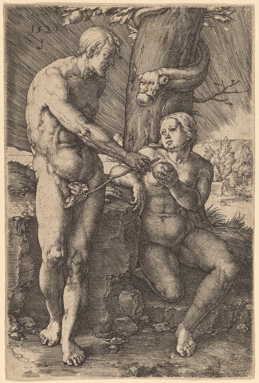 Der Sündenfall von Lucas van Leyden