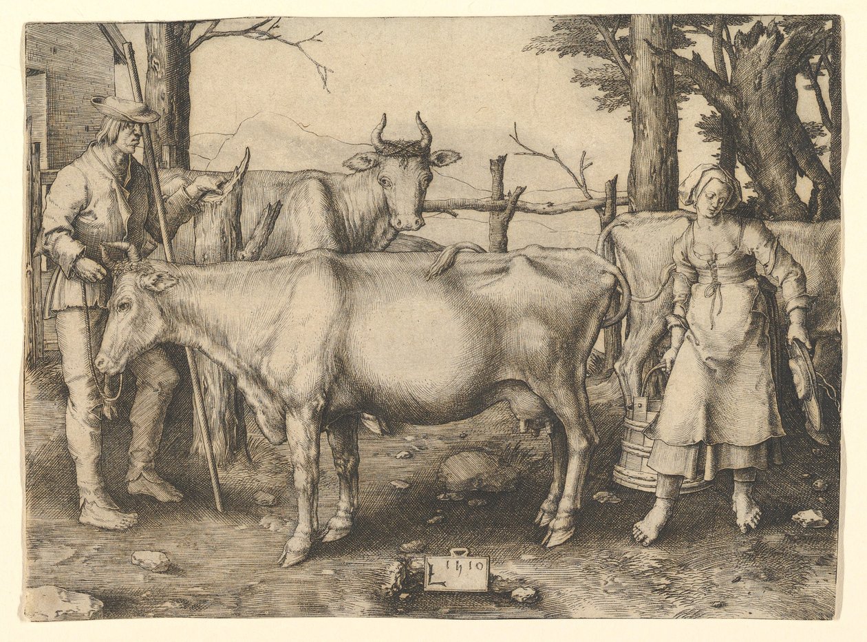 Die Milchmagd, 1510 von Lucas van Leyden