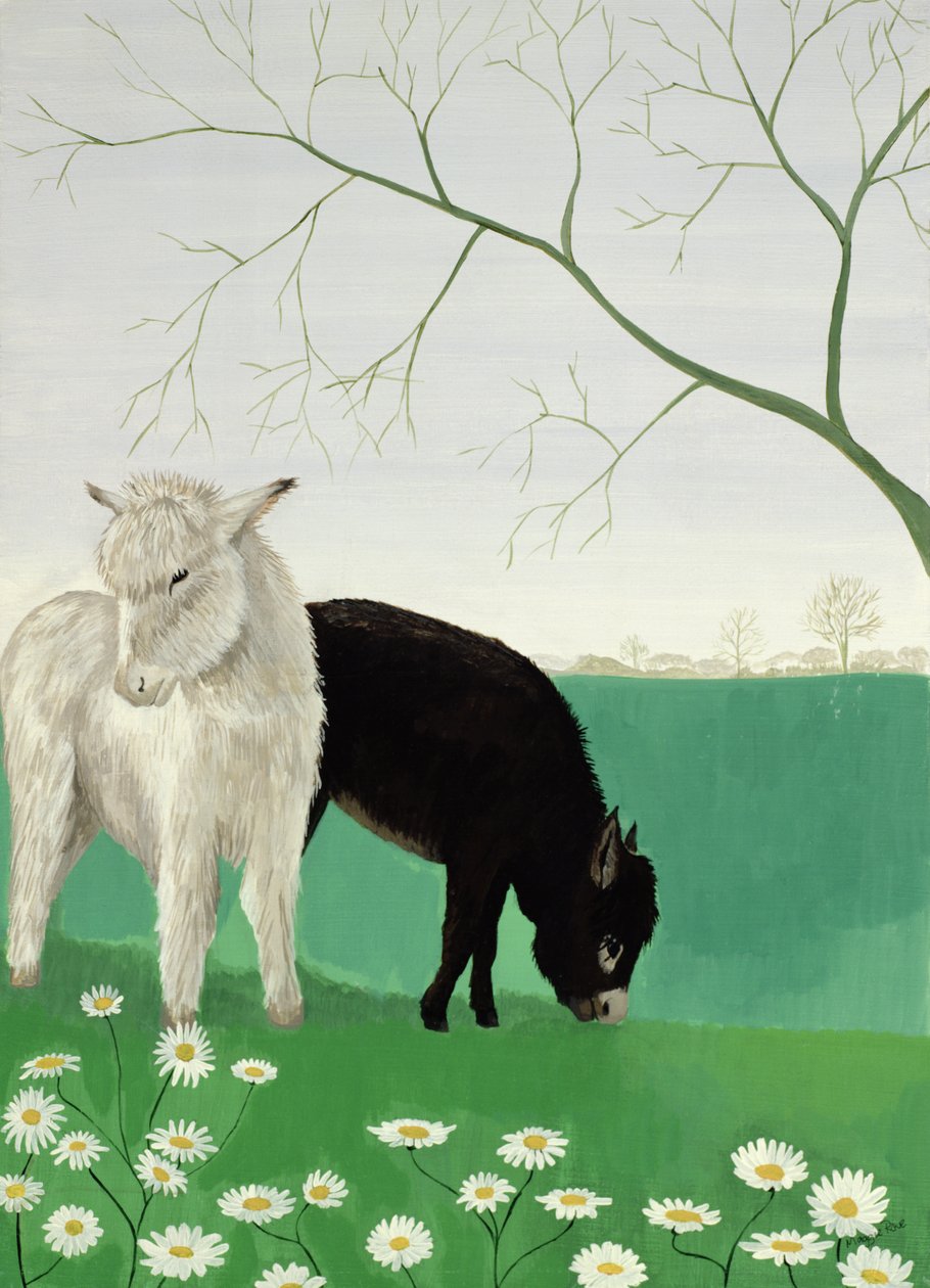 Esel und Gänseblümchen von Maggie Rowe