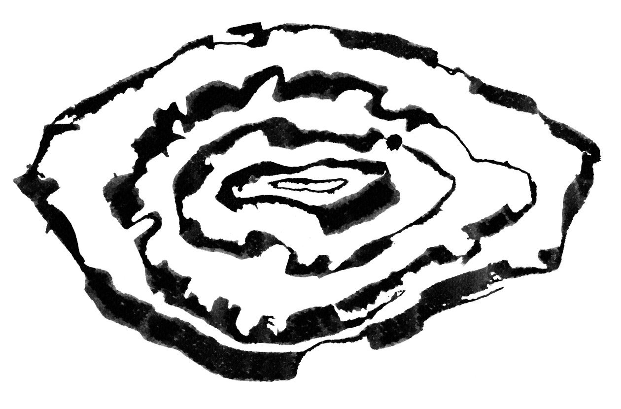 Isoipse, 2023 von Marco Campedelli