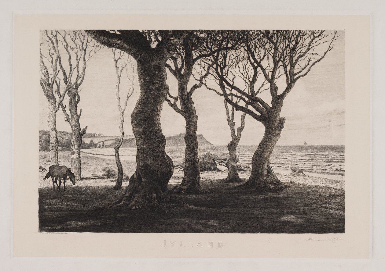 Jütländische Landschaft von Marcus Bech Fritz