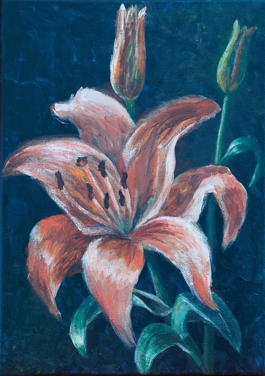 Orange Lilie von Margo Starkey