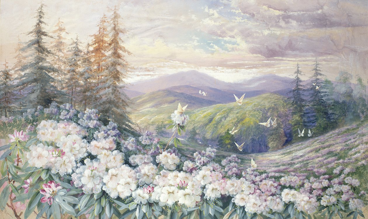 Frühlingslandschaft von Marian Ellis Rowan