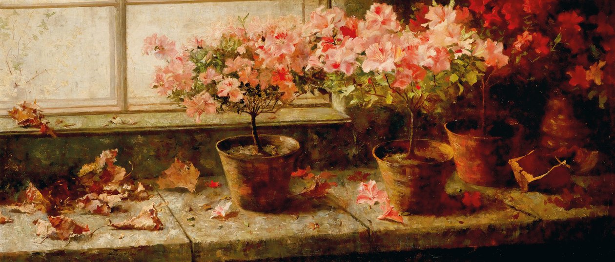 Blühende Azaleen am Fenster von Marie Egner