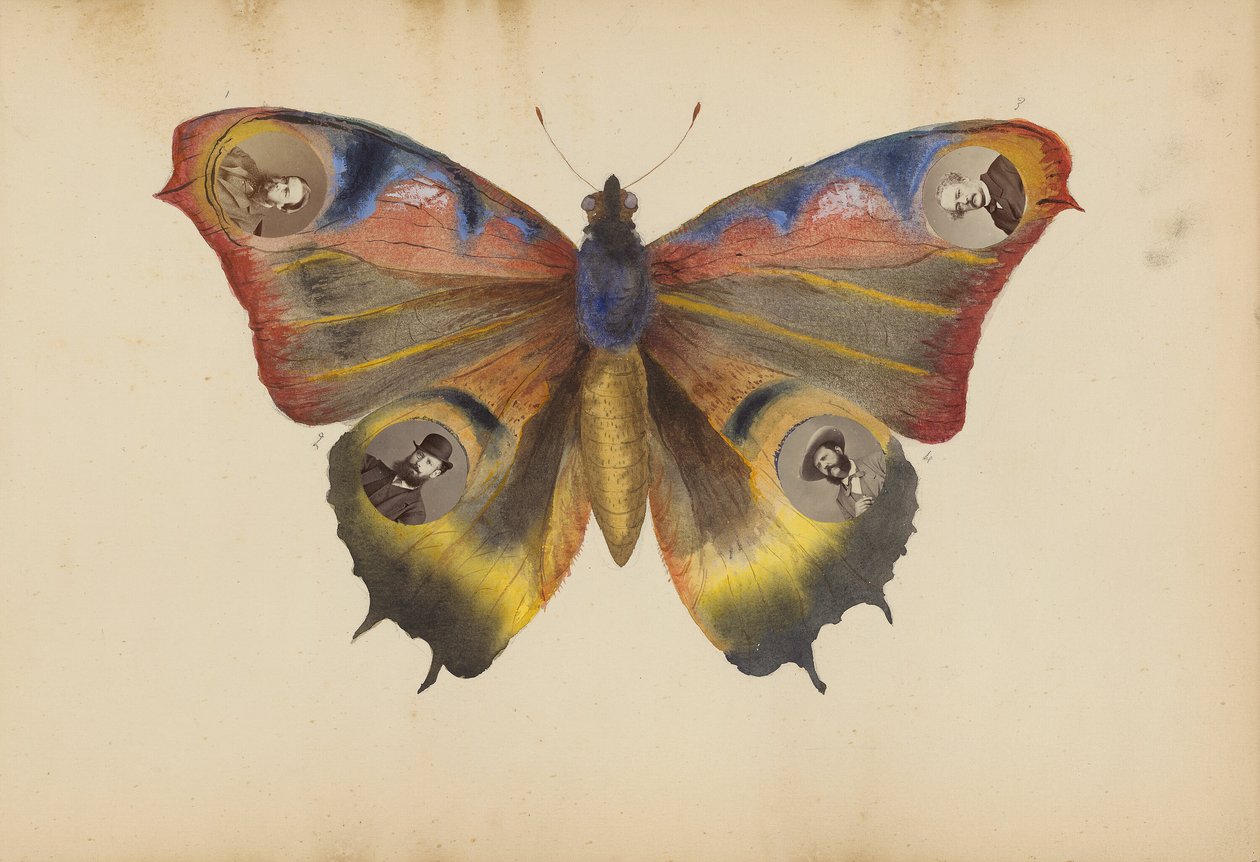 Das Madame B Album von Marie Blanche Hennelle Fournier