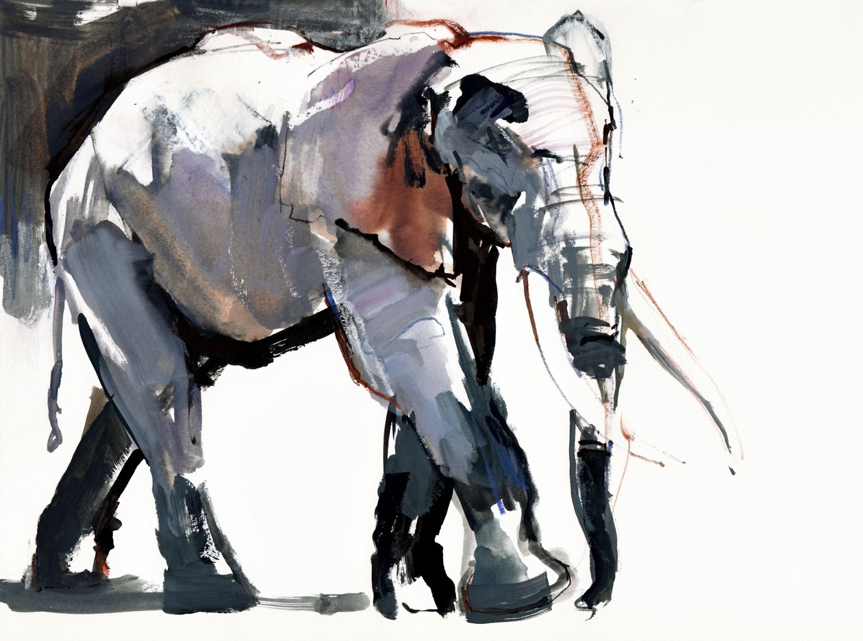Afrikanischer Elefant, 2012 von Mark Adlington