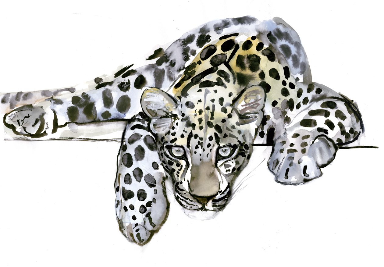 Arabischer Leopard, 2008 von Mark Adlington