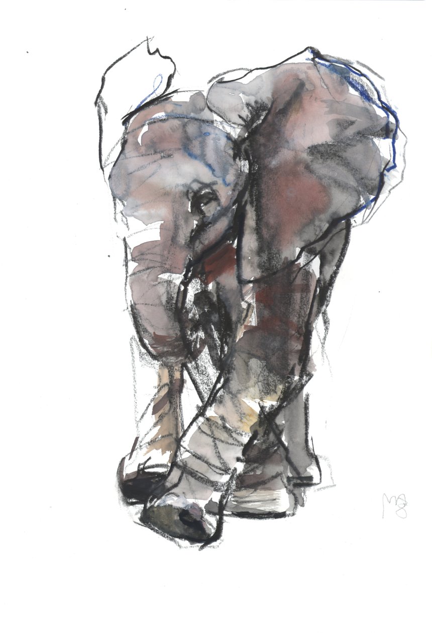 Baby Elefantenstudie, 2018 von Mark Adlington