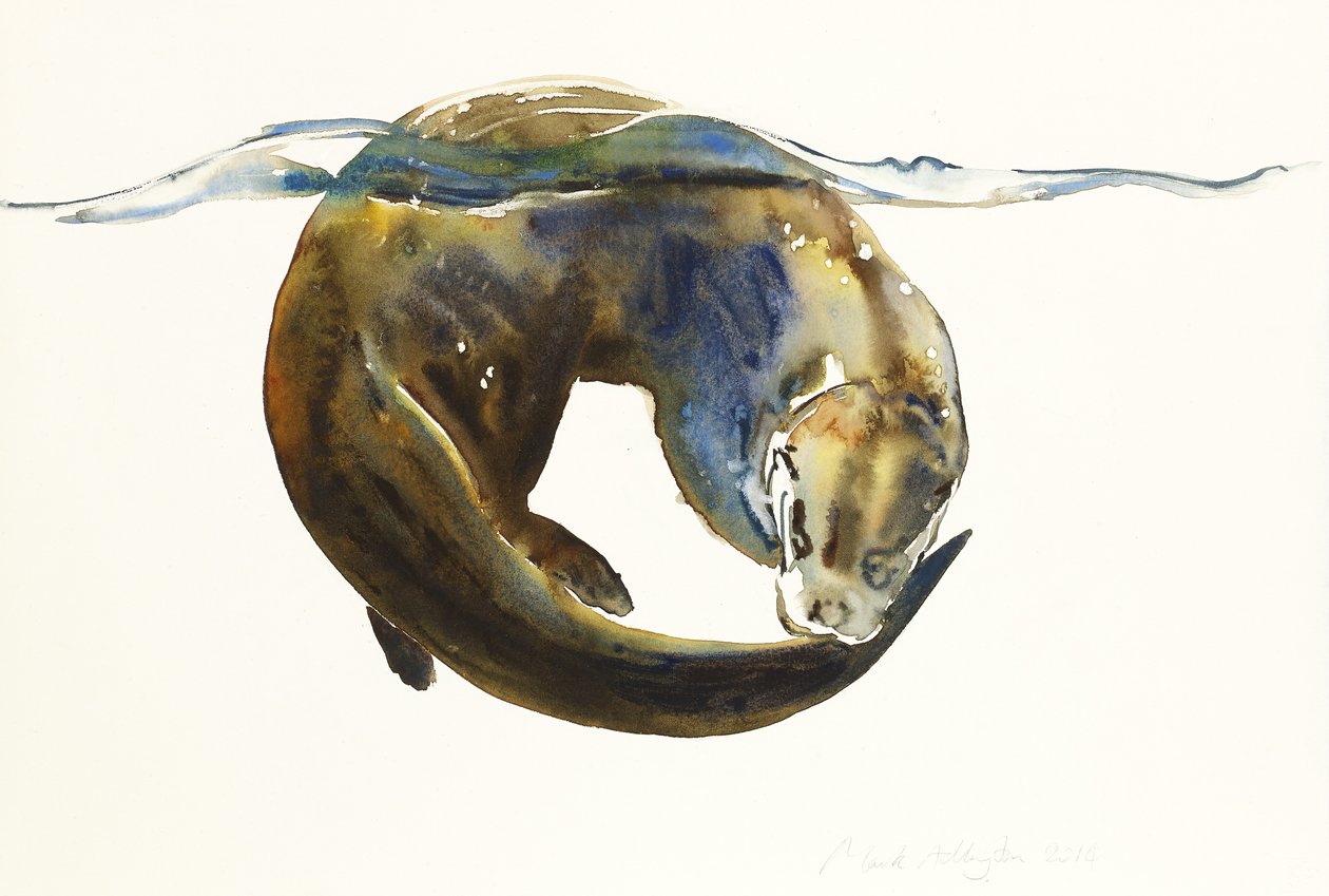 Kreis des Lebens, 2014 von Mark Adlington