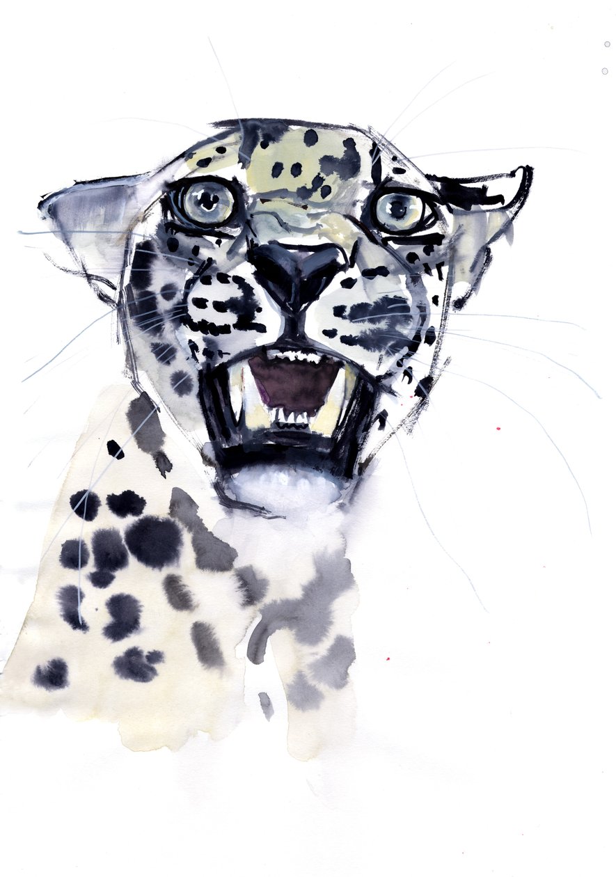 Schneidezahn-Knurren (Arabischer Leopard), 2008 von Mark Adlington