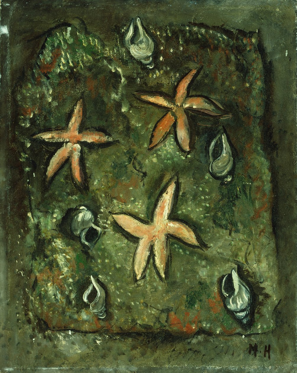 Seesterne und Muscheln von Marsden Hartley