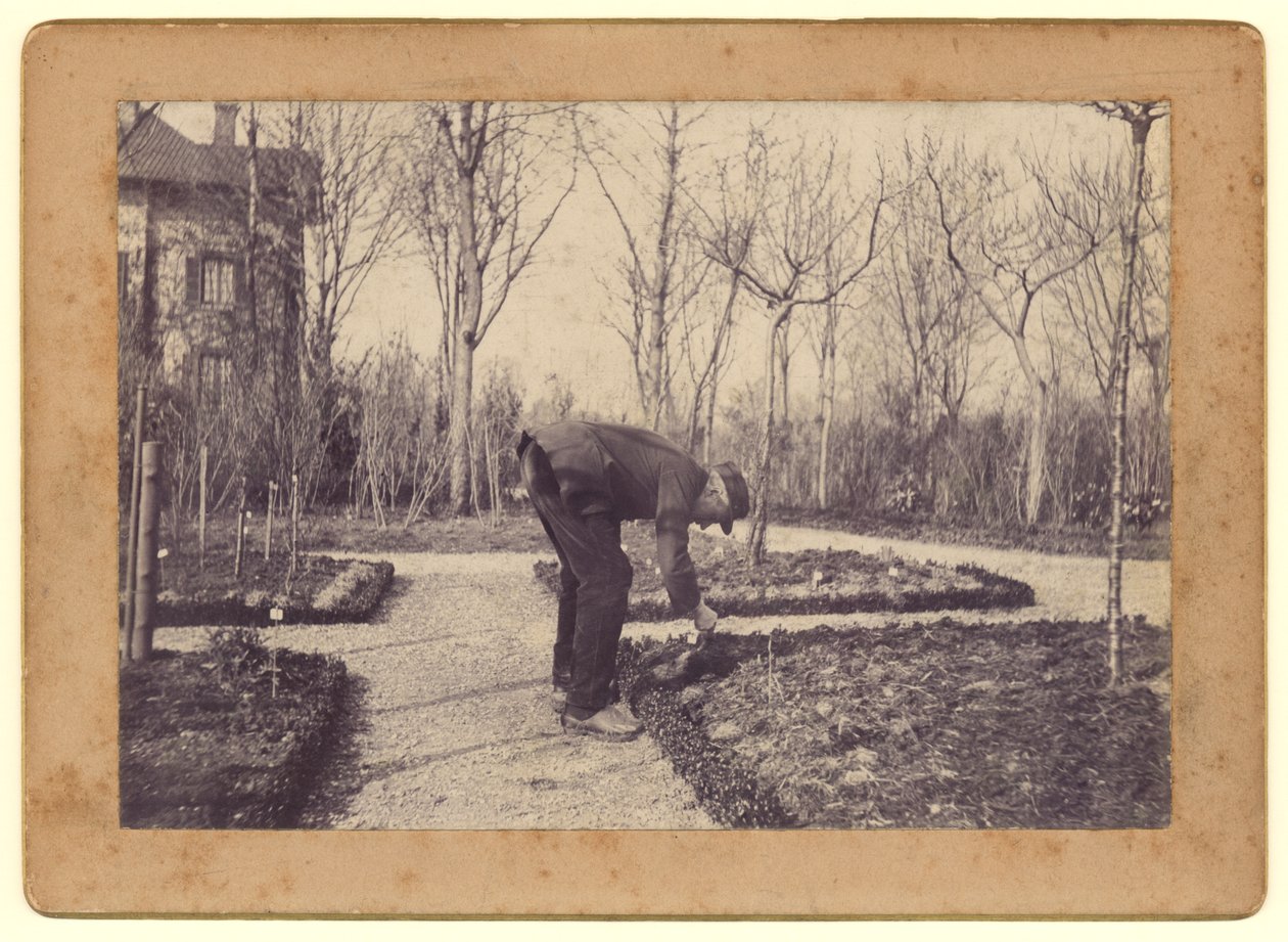 Gustave Caillebotte (1848-94) im Garten von Petit Gennevilliers, Februar 1892 von Martial Caillebotte