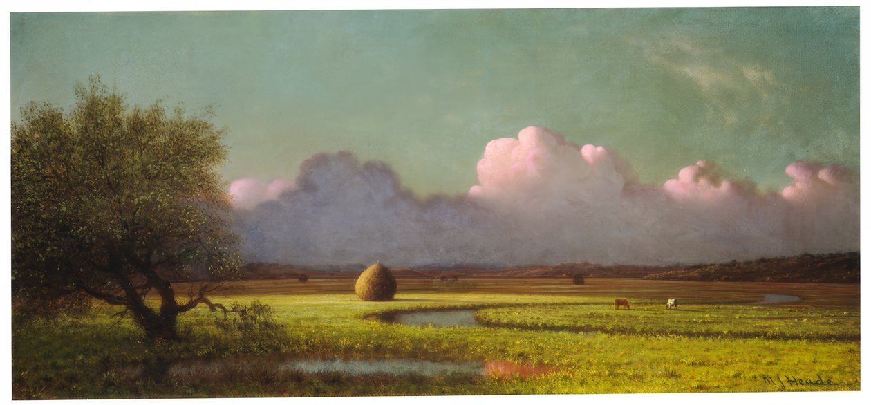 Sonnenlicht und Schatten: Die Newbury-Marschen von Martin Johnson Heade