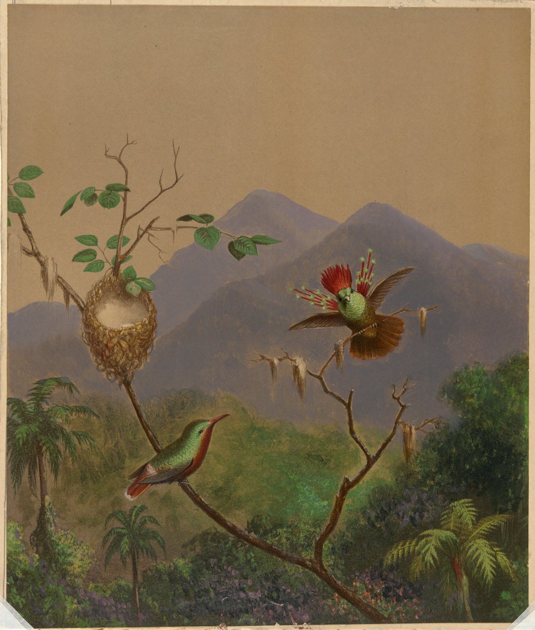 Brasilianische Kolibris III von Martin Johnson Heade