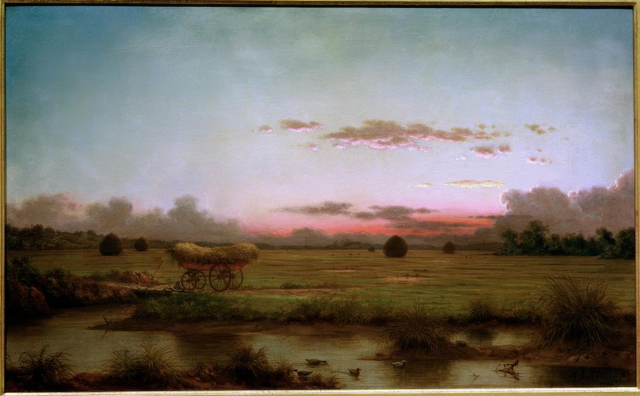 Die Sümpfe bei Rhode Island von Martin Johnson Heade
