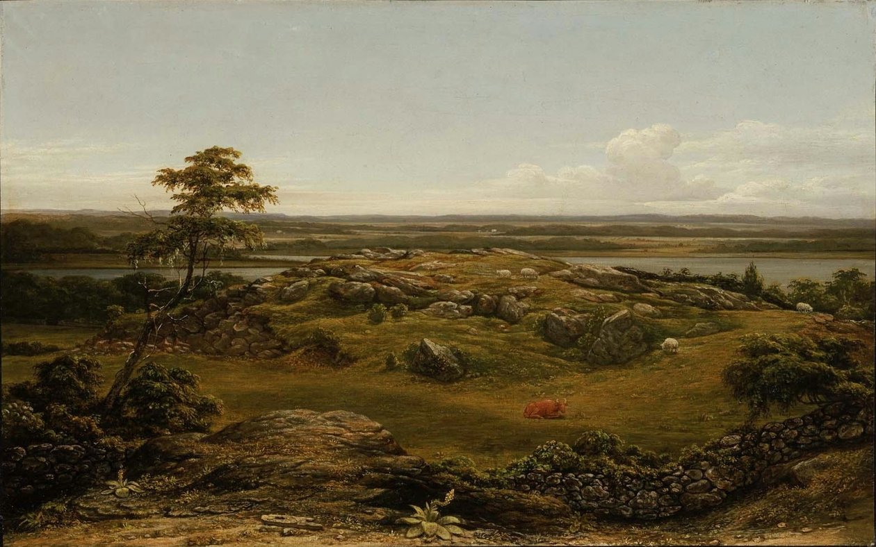Felsen in Neuengland von Martin Johnson Heade