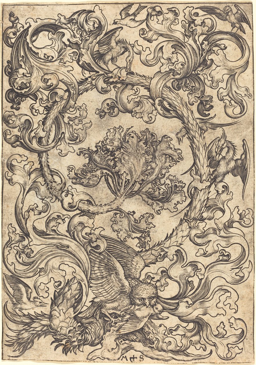 Ornament mit Eule, verspottet von Tagvögeln von Martin Schongauer