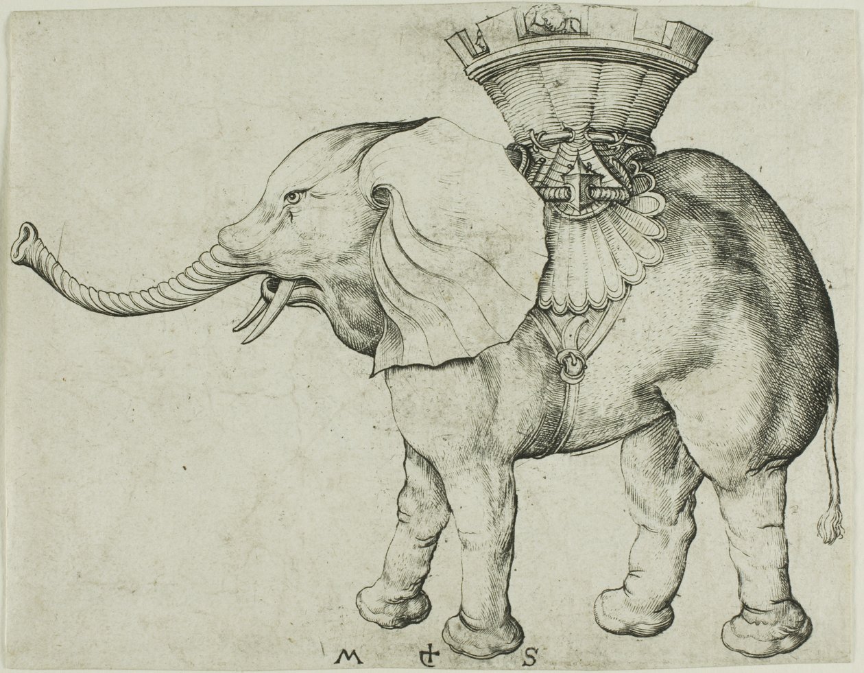 Der Elefant von Martin Schongauer