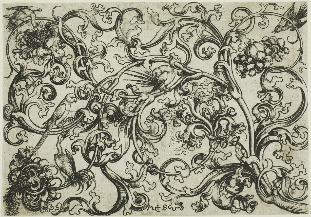 Weinrebenornament mit Papageien und Vögeln von Martin Schongauer