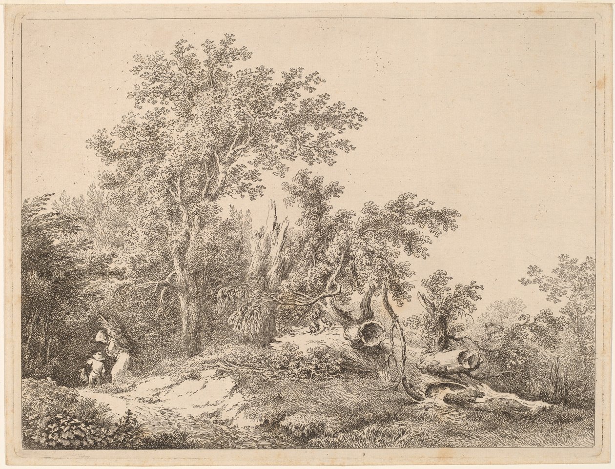 Landschaft mit gebrochenem Baum von Martin von Molitor