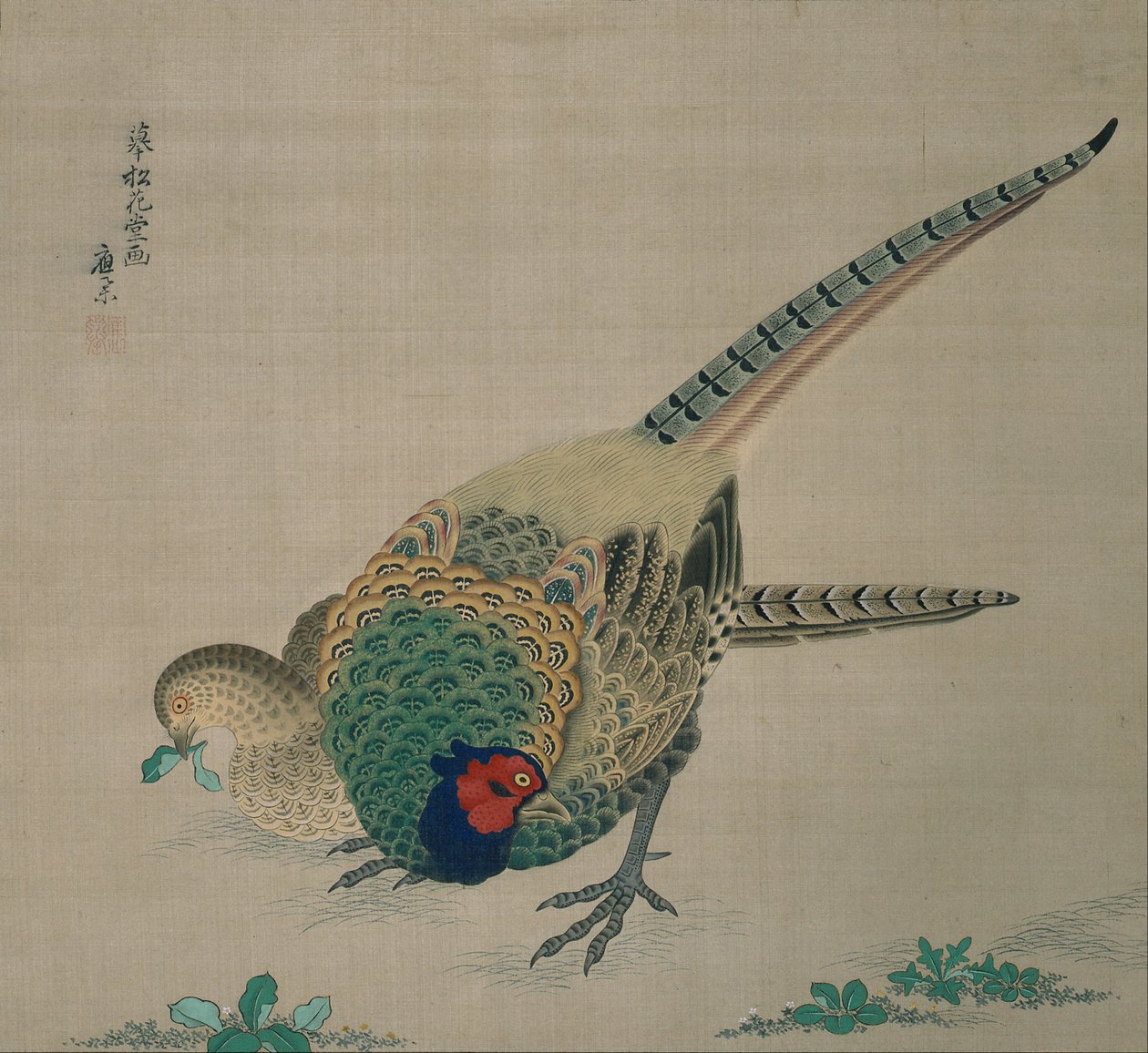 Hängende Schriftrolle (Paar Fasane) von Maruyama Okyo