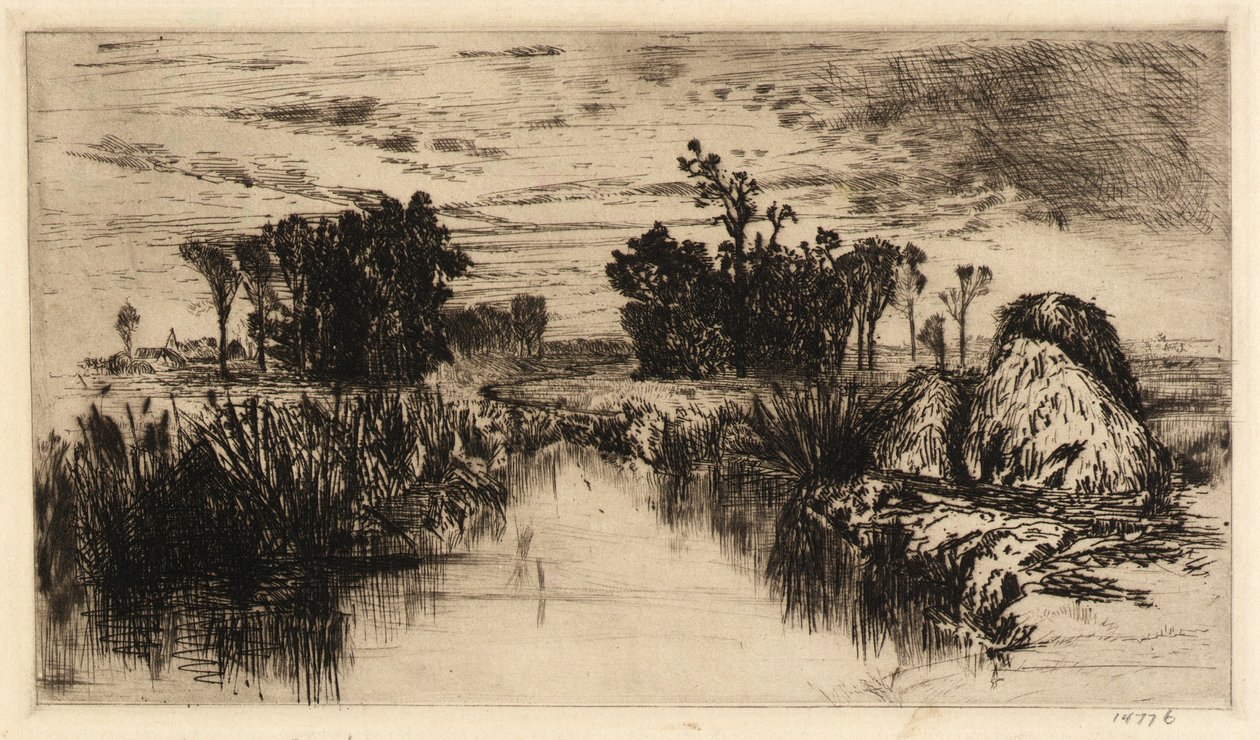 Rohrkolben und Bäume von Mary Nimmo Moran