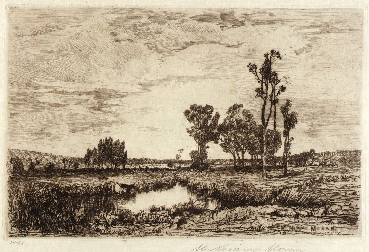 Rinder in einem Teich von Mary Nimmo Moran