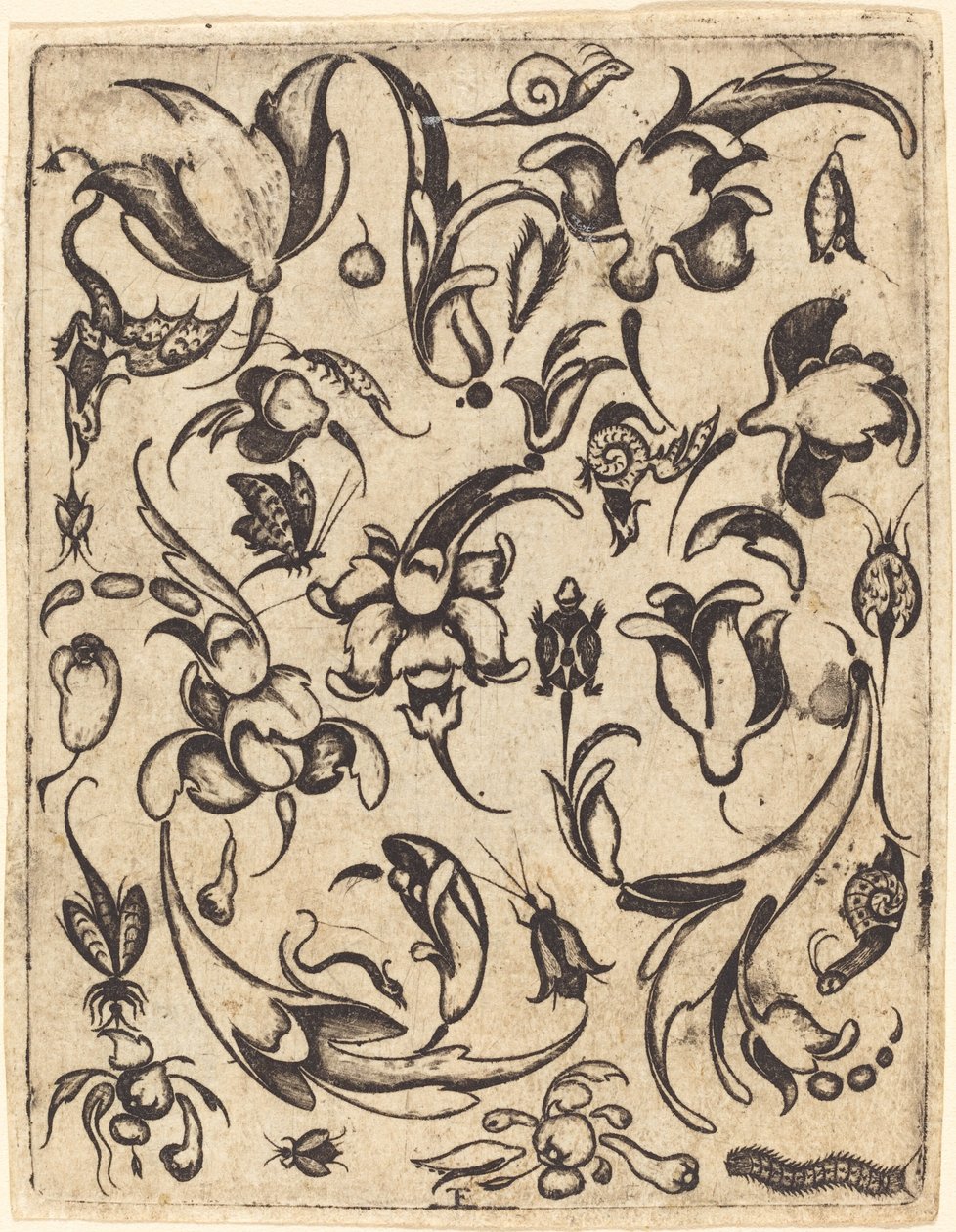 Ornament von Master T.F.
