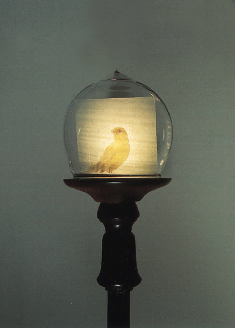 Antik von Mat Collishaw