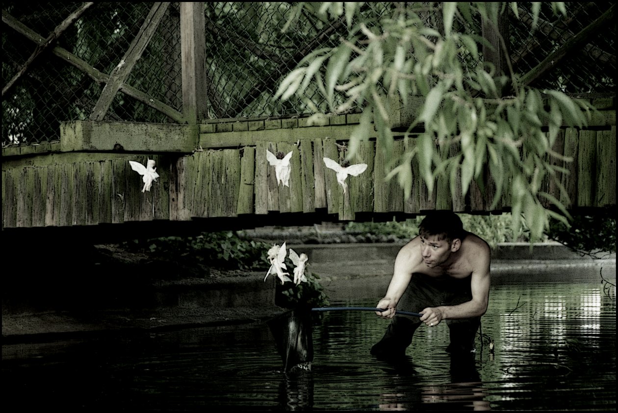 Feen fangen 6 von Mat Collishaw