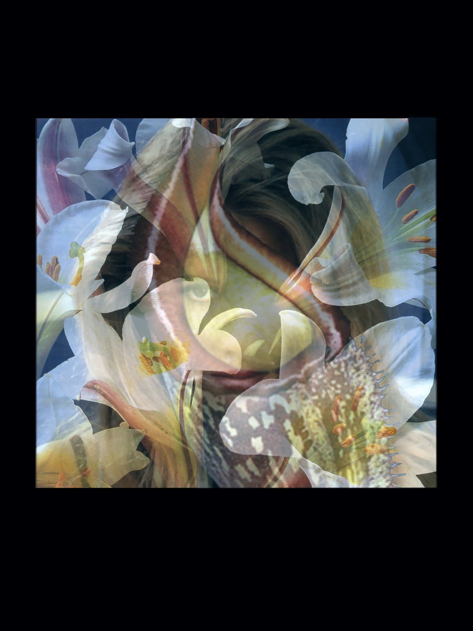 Fleischfresser 3 von Mat Collishaw