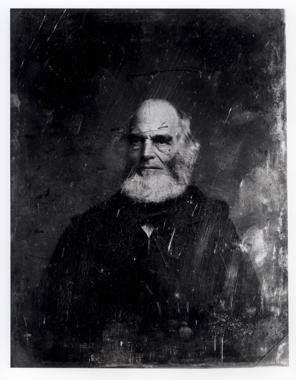 William Cullen Bryant (1794-1878) ca. 1851-60 von Mathew B. Brady