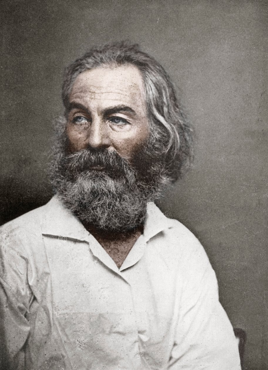Walt Whitman, amerikanischer Dichter, um 1880er von Mathew B. Brady